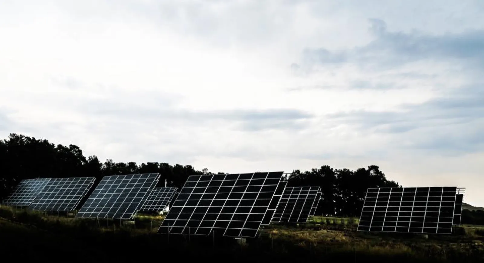Rows of solar panels on a solar farm