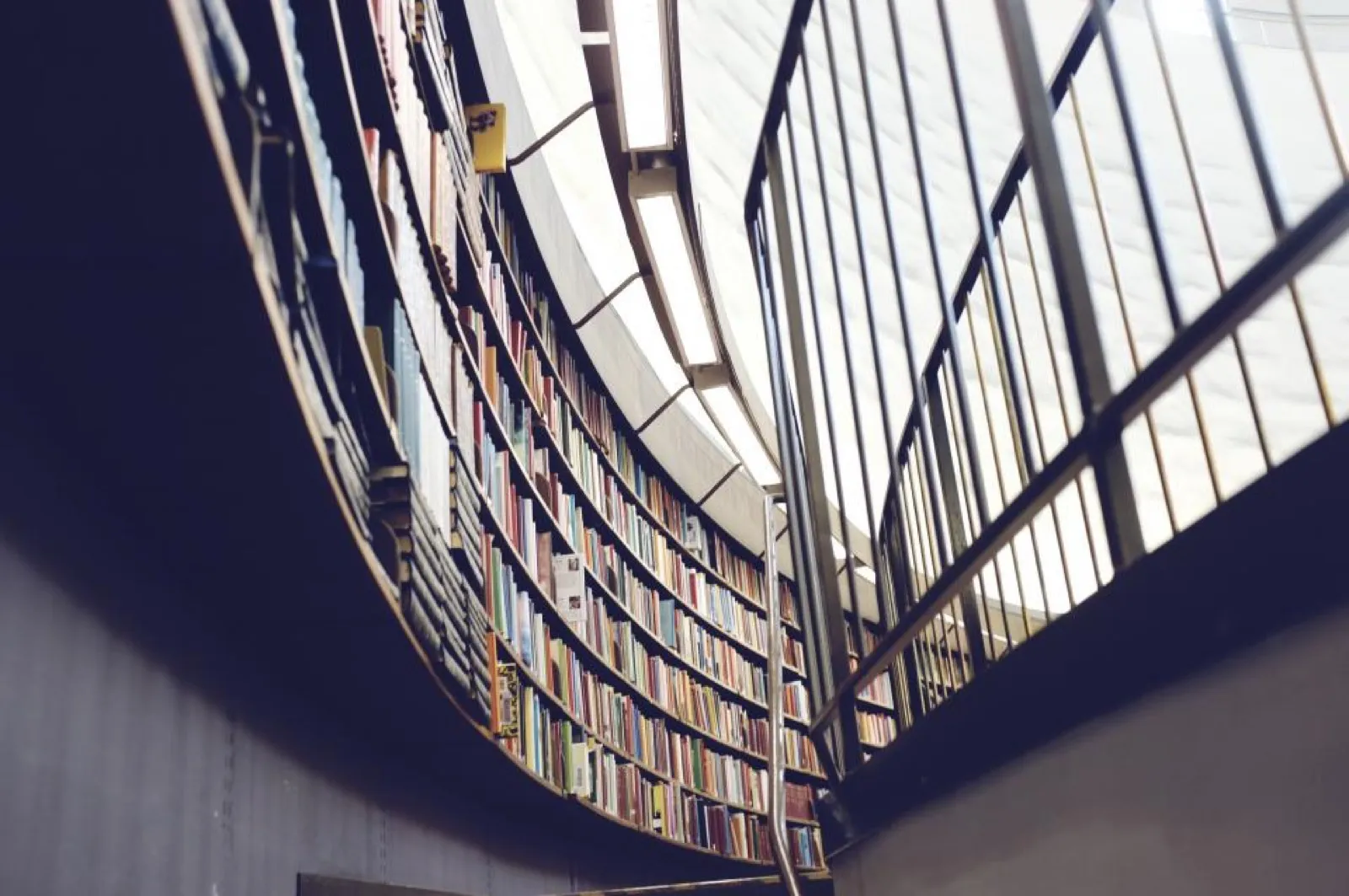Books on library shelves